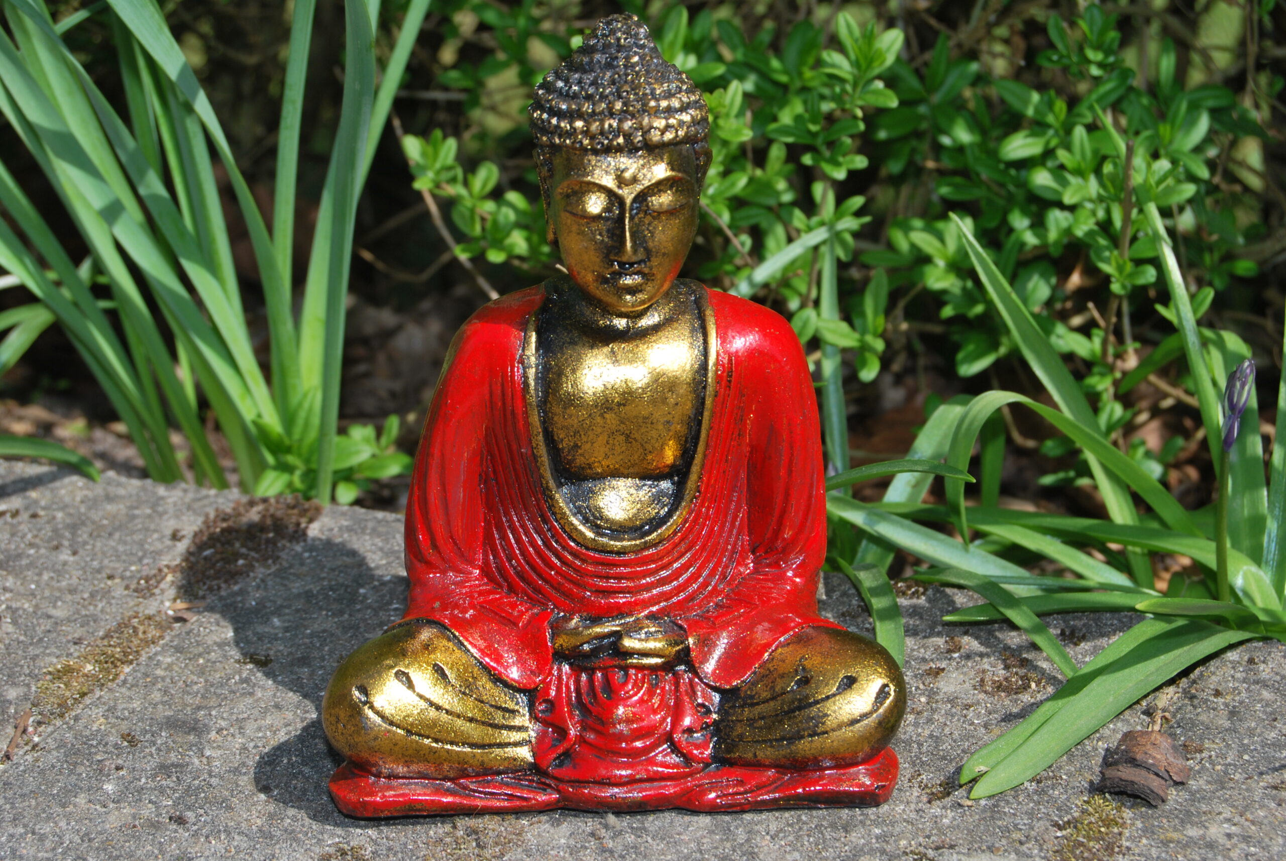 Rød og Guldmalet Buddha - Visdom