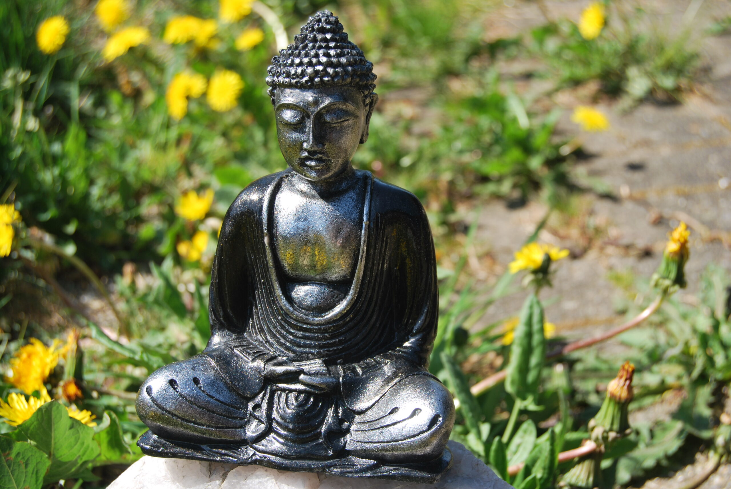 Sort og Sølvmalet Buddha - Visdom