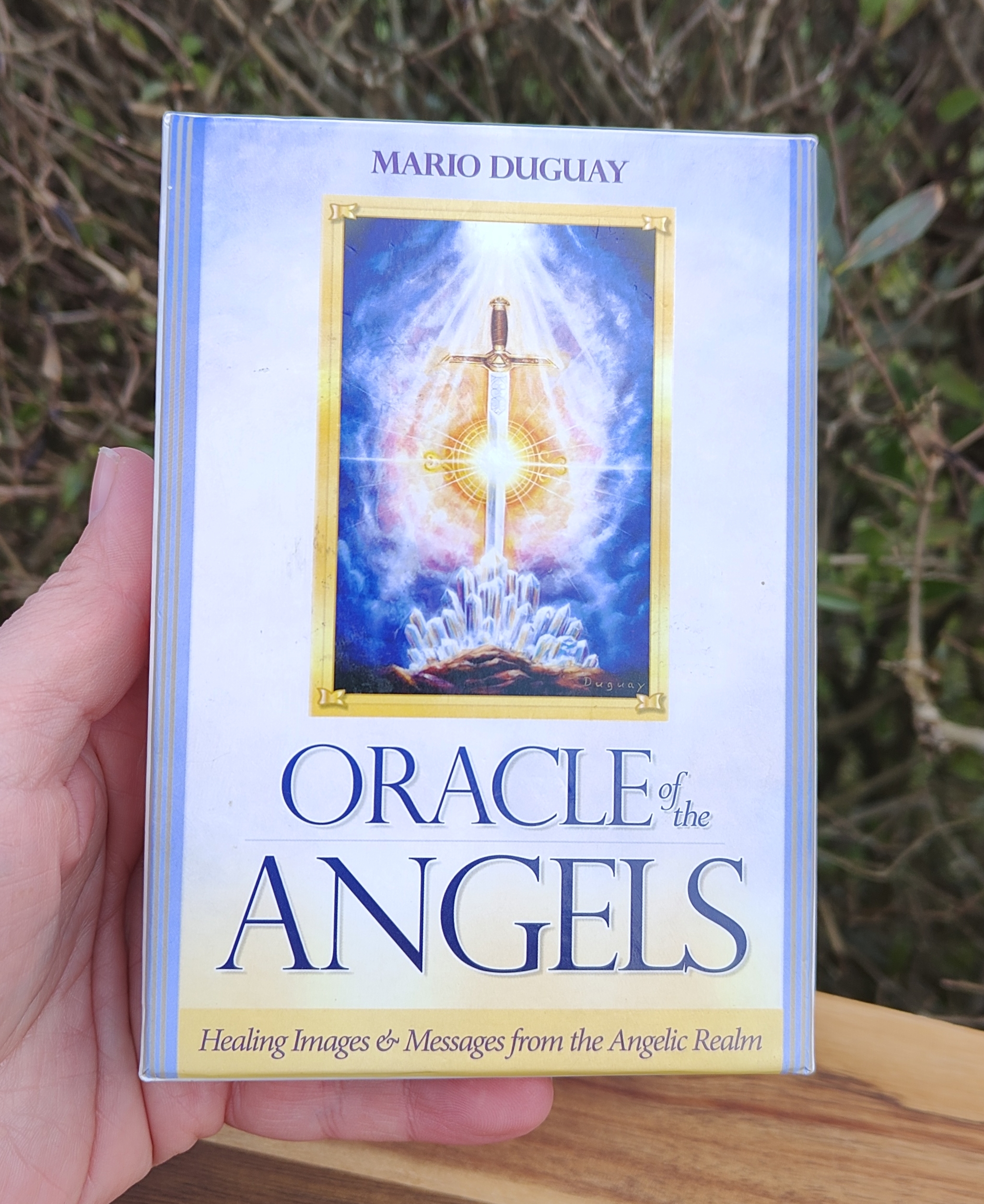 Oracle of the Angels (2.Hand)