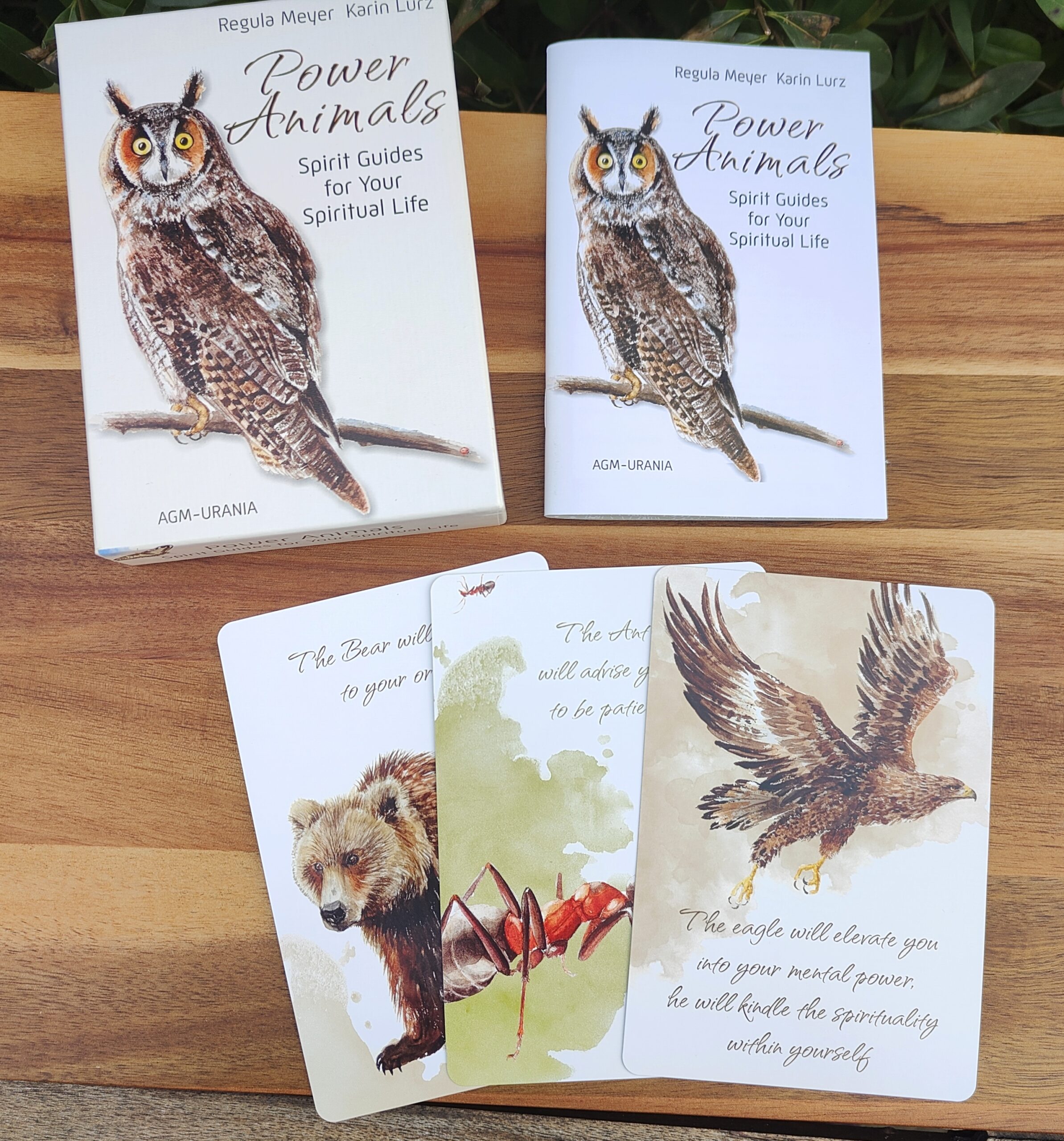 Power Animals - Spirit Guides for Your Spiritual Life (2. Hand)